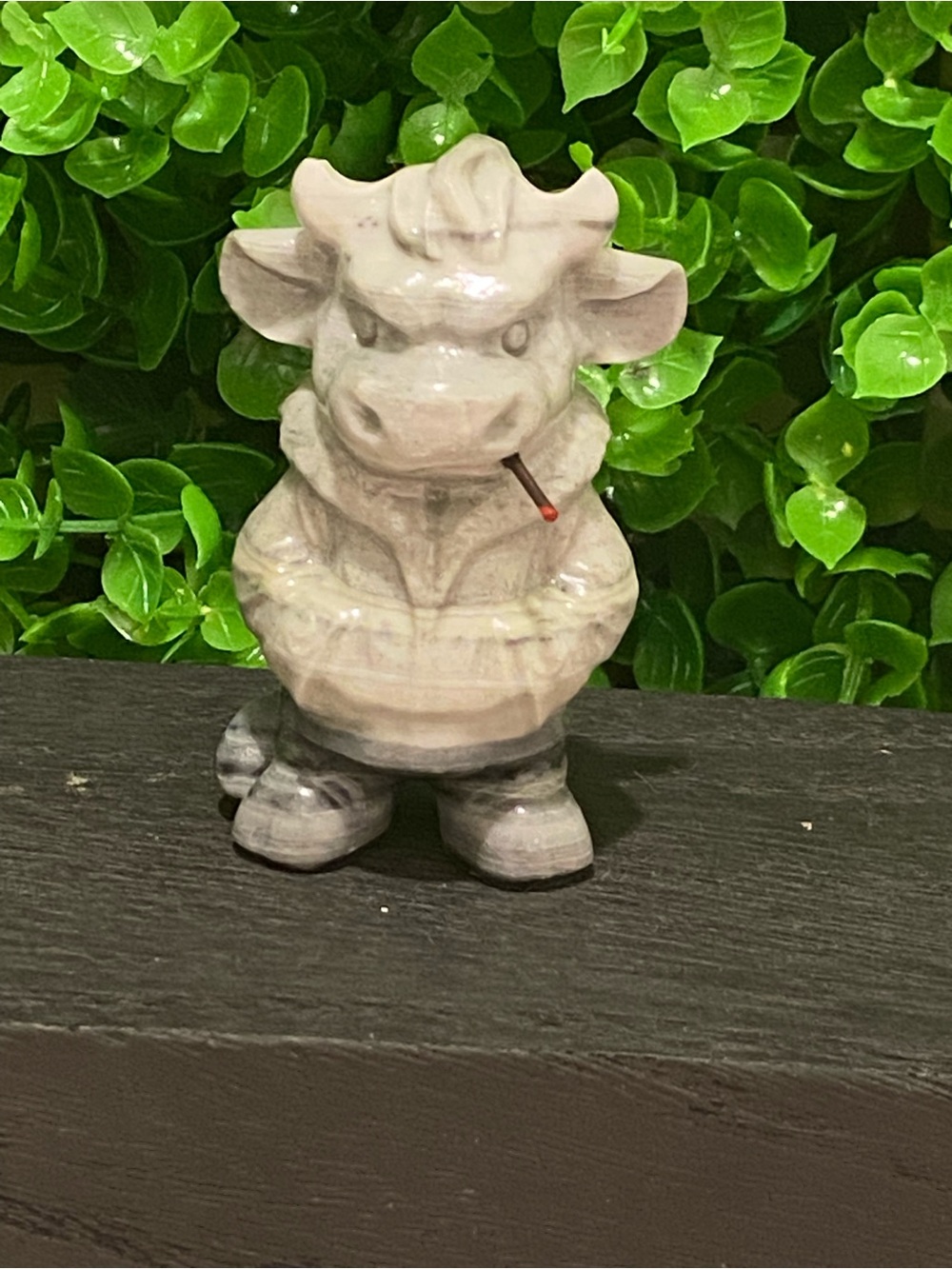 Tai Chi Cow smoking cigar